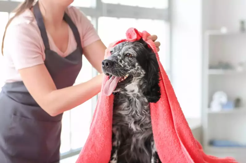 homeowner washing her dog