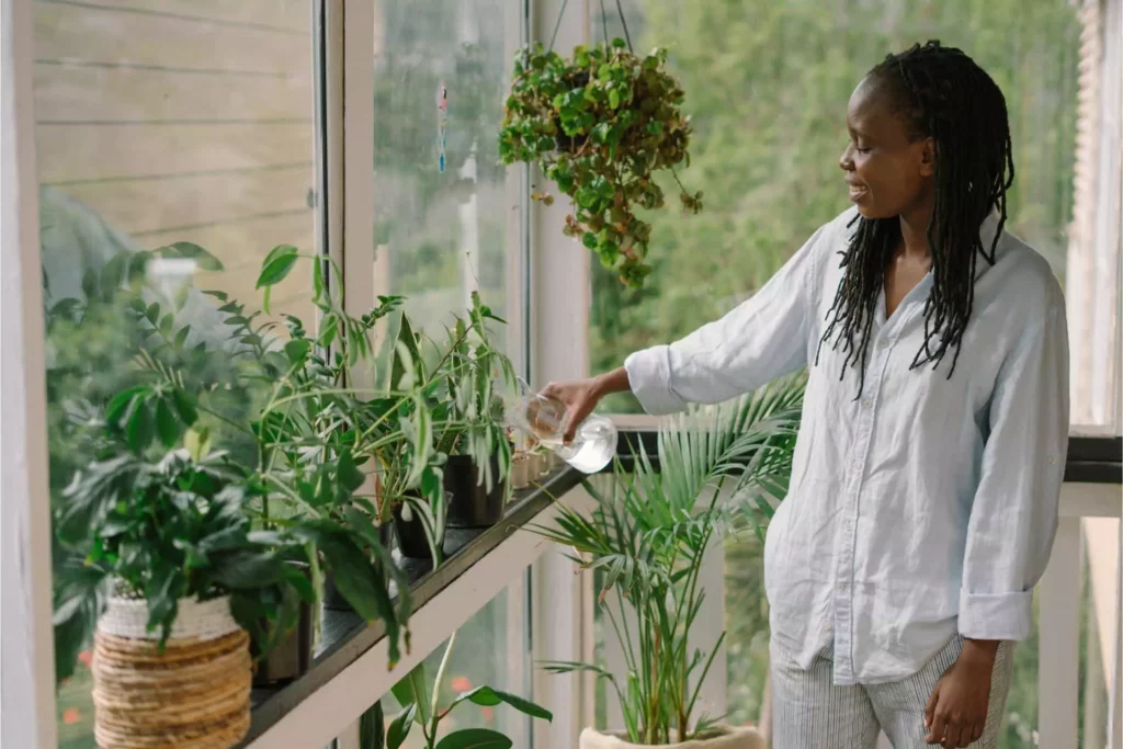 woman watering indoor plants