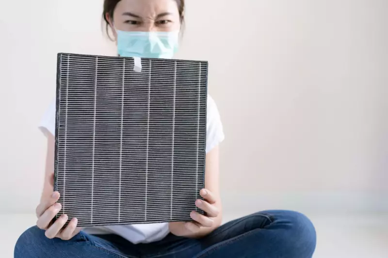Woman holding pleated air filter