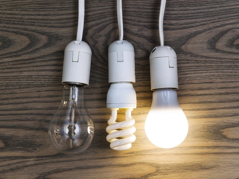 incandescent cfl and led bulbs