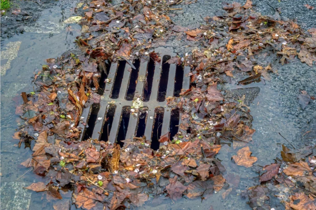 clogged storm drain