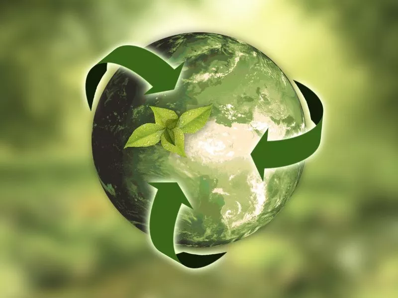 Saving the Earth While Saving Money