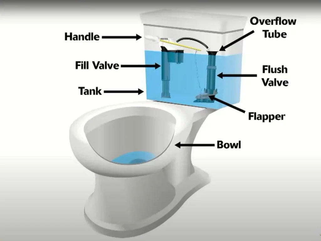 Schéma des toilettes