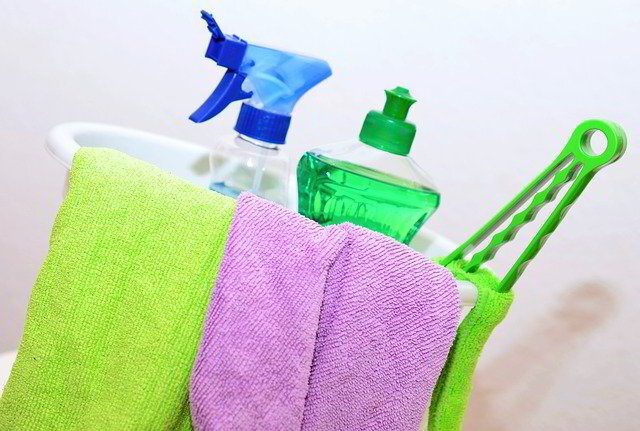 How To Choose The Right Cleaning Company For Your Business | Phyxter Home Services