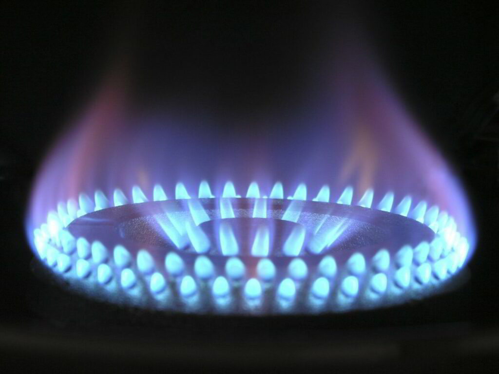 Gas oven burner plate