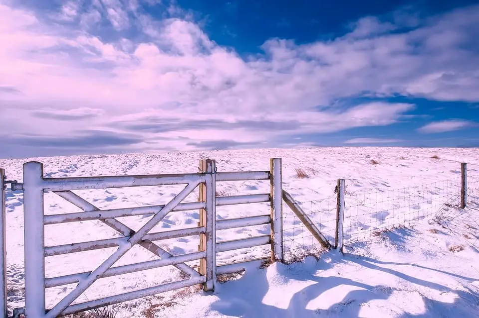 Fence in snowy field