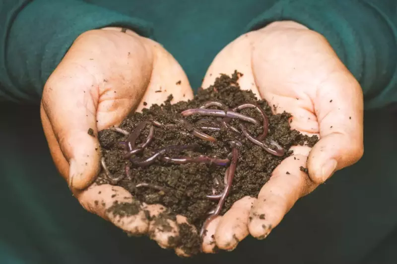 handful of worms
