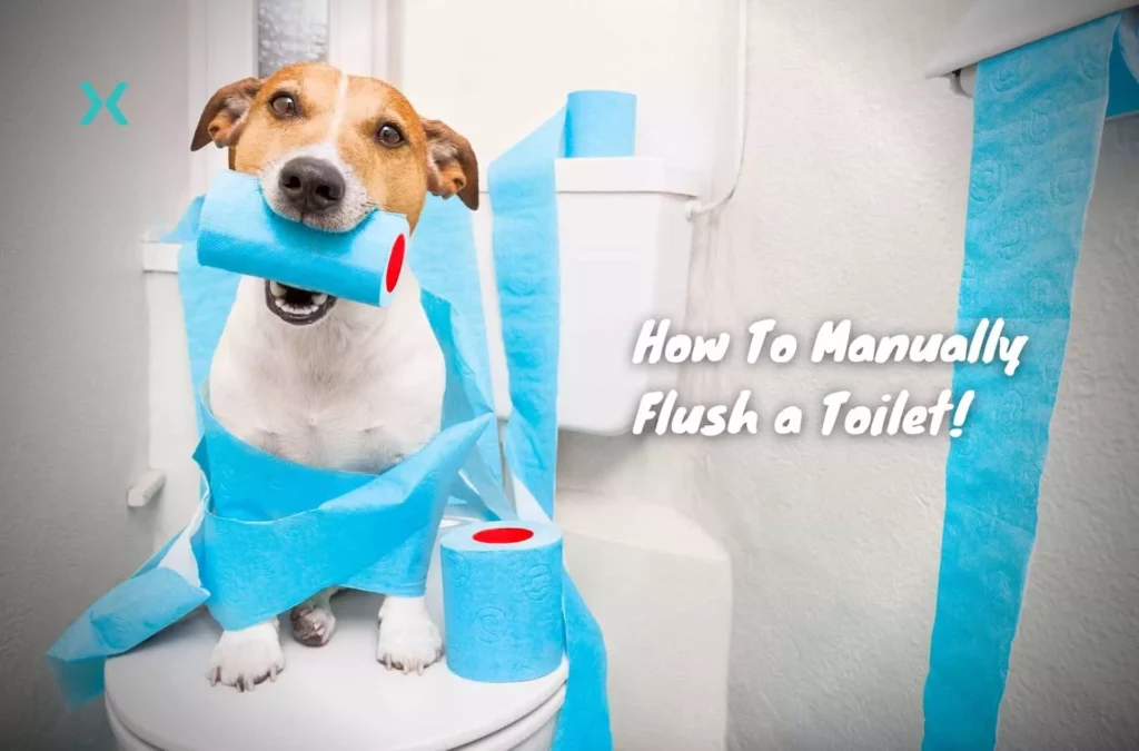 how to manually flush a toilet