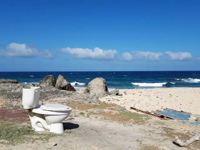 old toilet in a beach