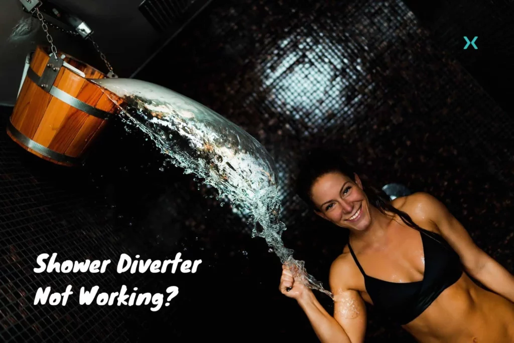 Shower Diverter Not Working