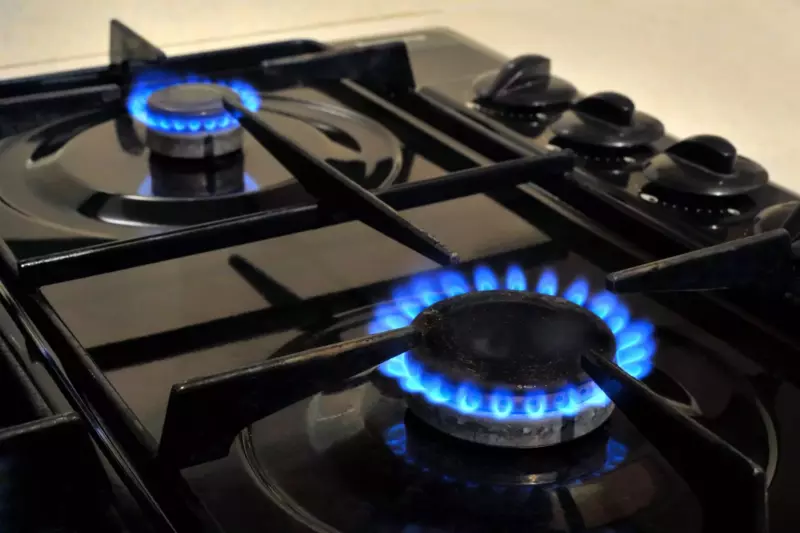 natural gas burning stove