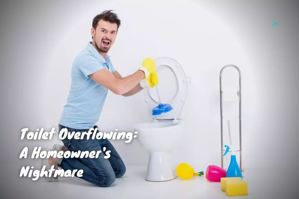 Toilet Overflowing A Homeowner's Nightmare