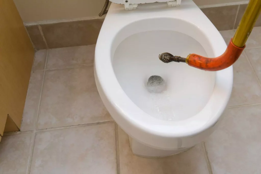 Toilet drain snake