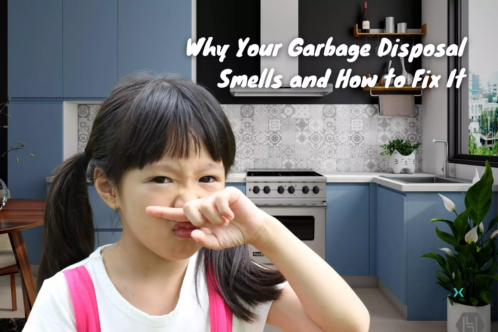 Why Your Garbage Disposal Smells and How to Fix It