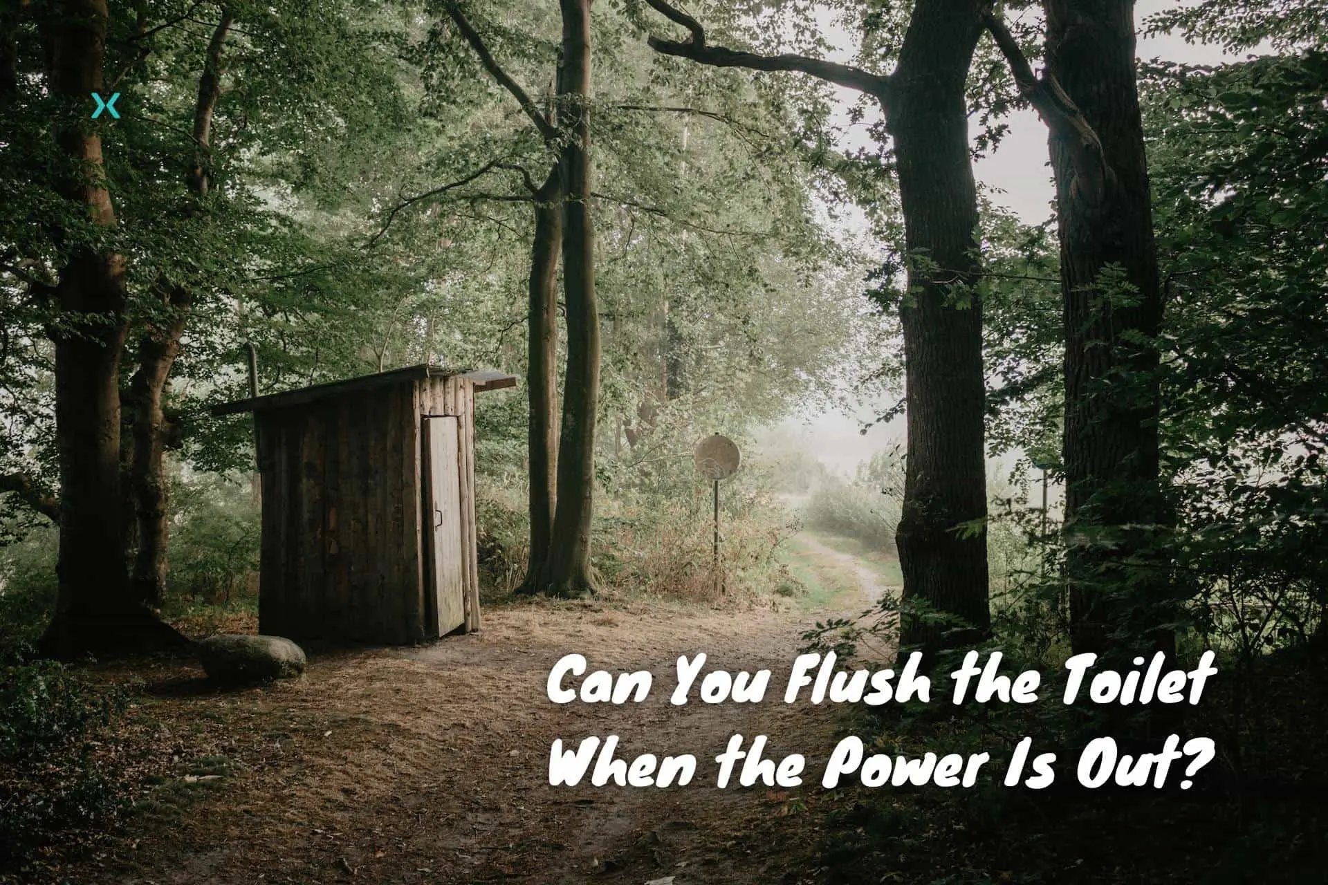 Can You Flush the Toilet When the Power Is Out
