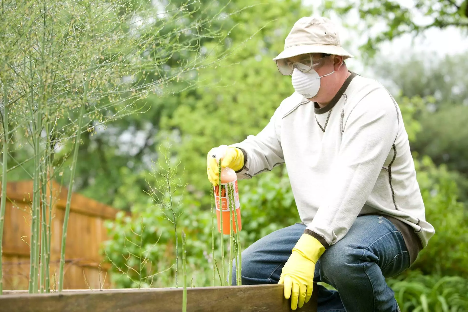 applying chemical pesticides in garden