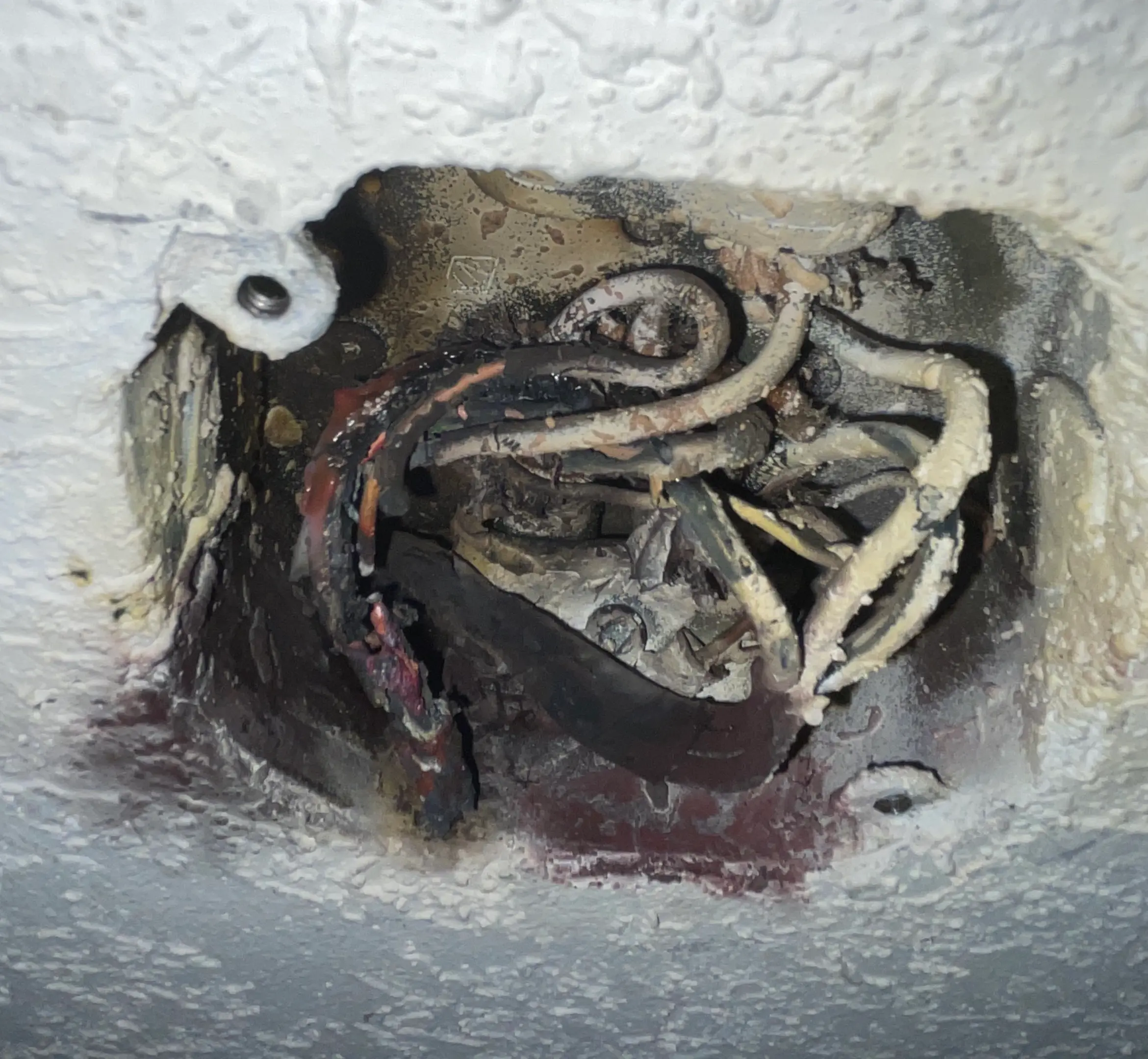 Burnt out electrical wiring