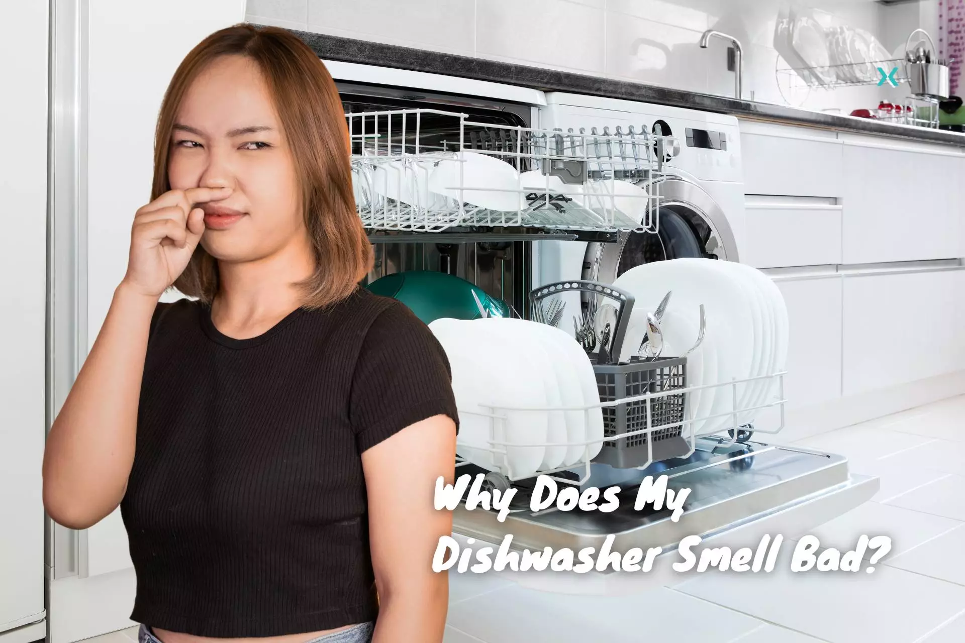 Why Does My Dishwasher Smell