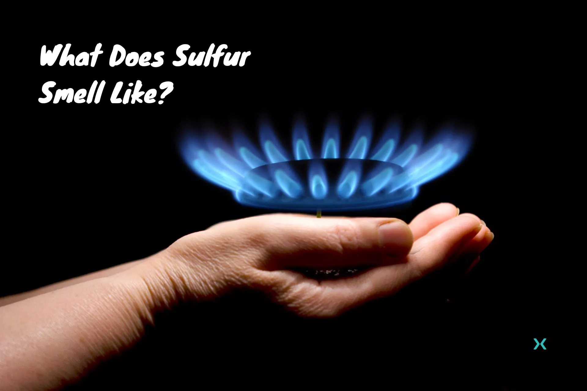 What Does Sulfur Odor Like? A Householders Plumbing Information